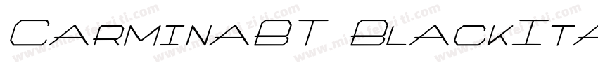 CarminaBT BlackItali字体转换